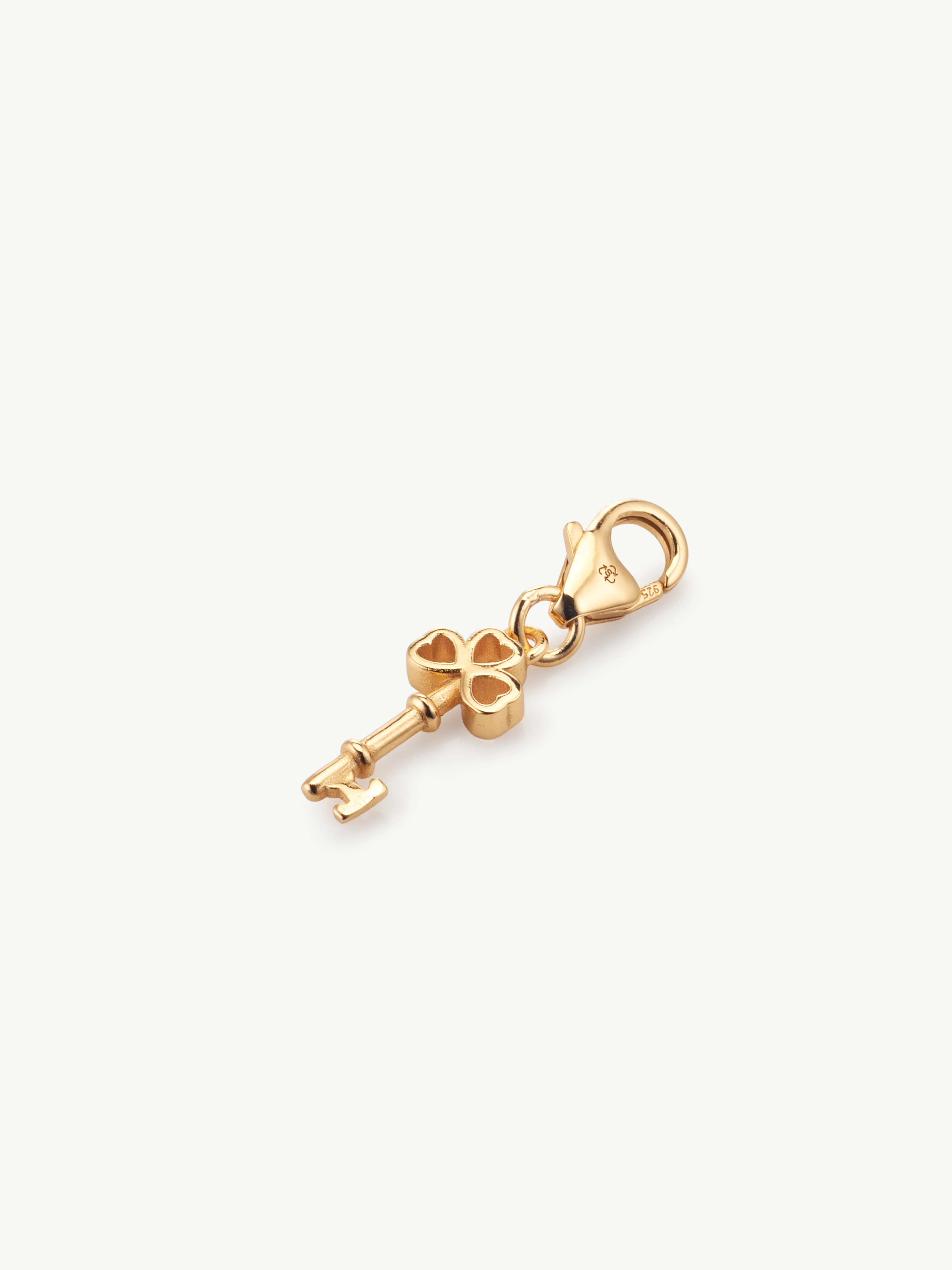 Key Bracelet Charm - Image 4
